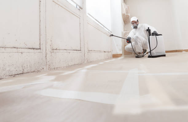 24/7 Emergency Attic Mold Remediation experts in Quincy, FL